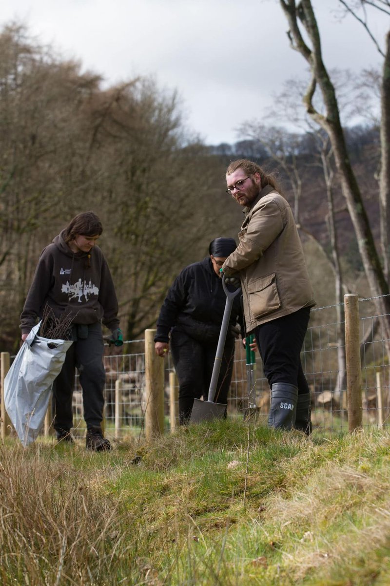 WestWalesRT's tweet image. Gyda thîm o wirfoddolwyr gwych gan gynnwys myfyrwyr @AberUni, fe blannwyd dros 200 o #coed ar hyd y Melindwr, un o lednentydd yr #AfonRheidol. Roedd hyn yn cynnwys safle mawr yr ydym wedi'i ffensio i greu llain glustogi. Diolch i @CoedCadw am ddarparu coed, cyngor a chefnogaeth.