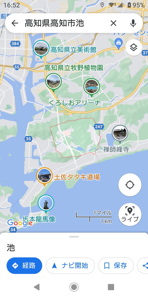 iWaFDUeWUTuqm9L's tweet photo. 迷子のワンちゃんが高知市池で保護です https://t.co/4RgGDykgbp