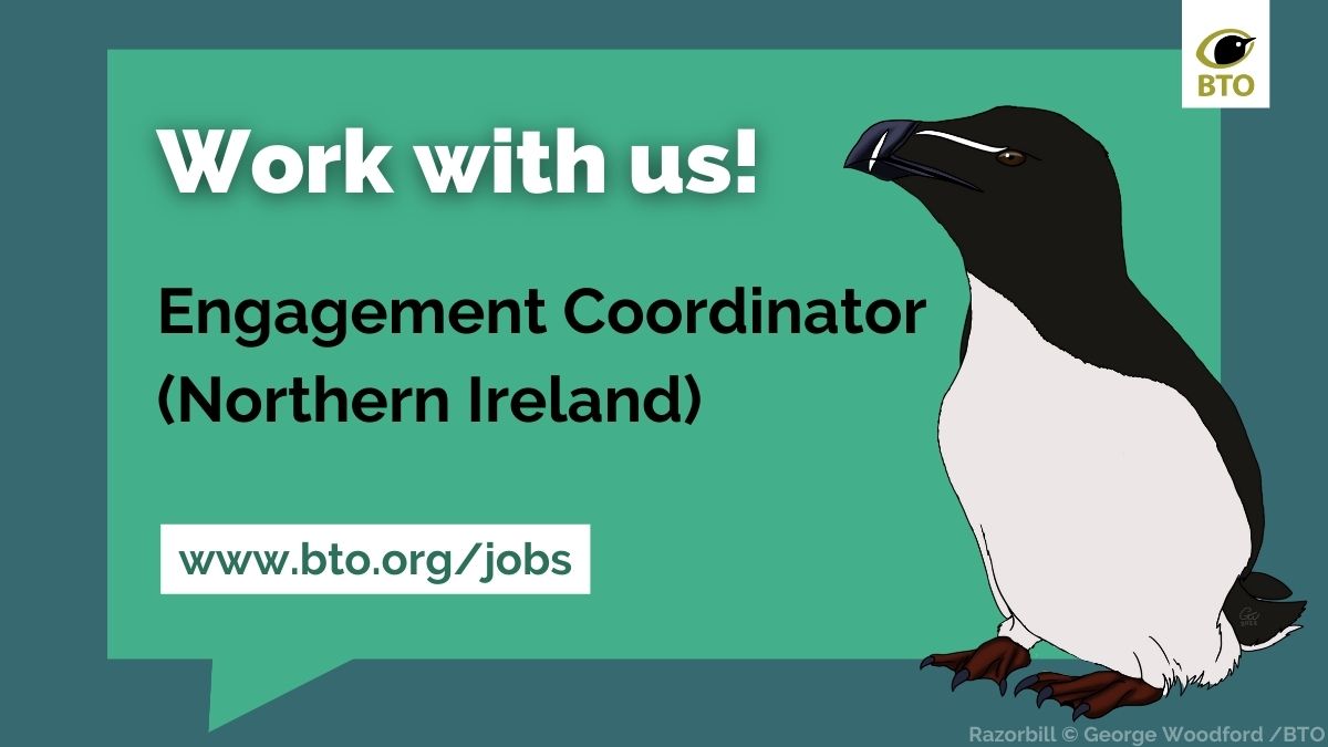 ⏰ Remember to apply for our Engagement Coordinator role by midday on 29 March!

🗺️ Northern Ireland (remote at first)
📅 Full time, permanent
💰 £28,644 £28,644 per annum + 11% employer pension contribution
👉 bit.ly/3yufcfy

#ConservationJobs #ConservationCareers