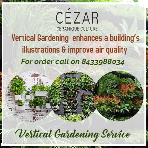 Cezarsolutions's tweet photo. For vertical garden order call on 8433988034.
#verticalgardening #verticalgarden #cezar #cezarceramic #cezarceramicculture #grass #artificialgrass #cezar https://t.co/IYLoiuS1X7