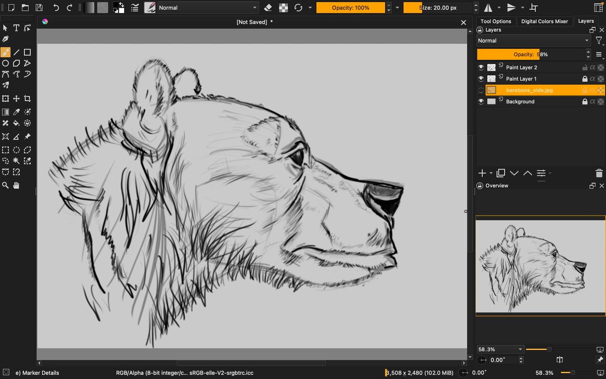 AR3N1C's tweet photo. Learning to draw bears. https://t.co/GxbPamkWSa