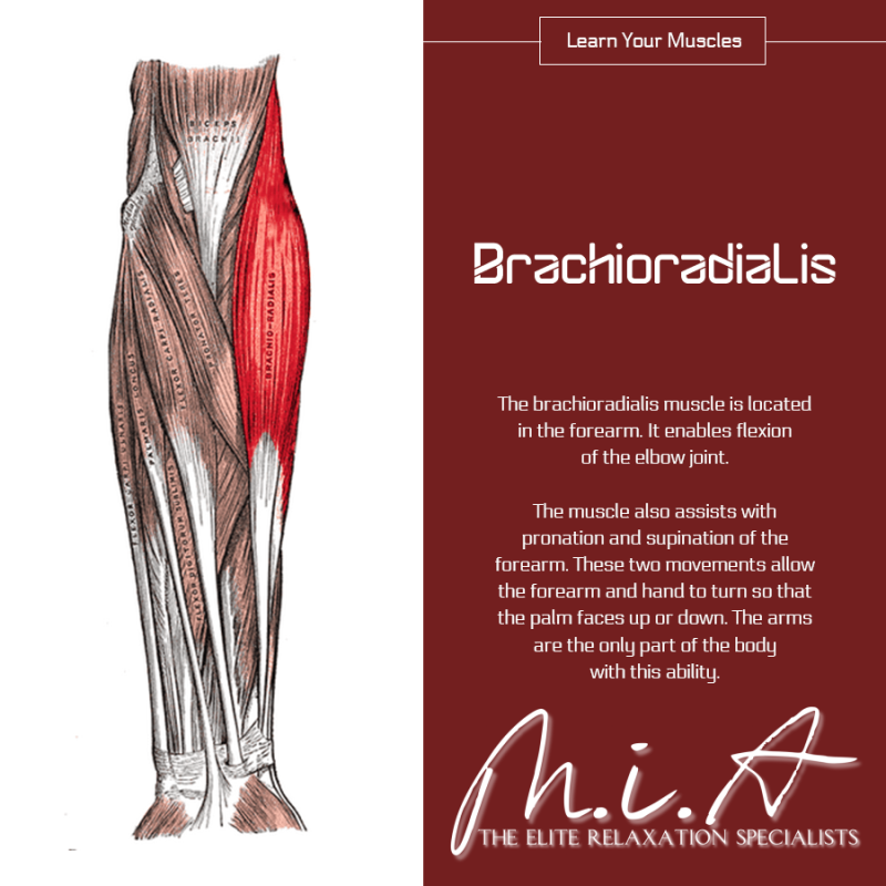 JustGoMIA's tweet image. Book Online Here👉 t.ly/pakC