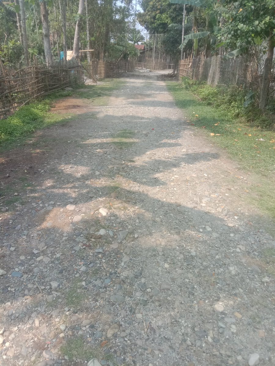 Sarma3Bhaskar's tweet photo. Respected CM Sir, Villagers of Bheruadal are suffering from extremely worse situation of d sole road connecting Husensubri to Bheruadal.We hv already informed to MLA sir, Sipajhar for last three decades, but his response is very poor. Plz do take an urgent steps.
@IHimanta https://t.co/ENIBDmoCMm