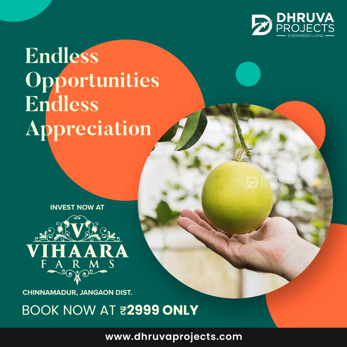 dhruvaprojects's tweet photo. Invest in the land of opportunities and secure your future. Book now. 

#DhruvaProjects #Farmlands #VihaaraFarms #GreenerLifestyle #RightTimeToBuy #YadigiriguttaTemple #Yadadri #Property #RealEstate #HyderabadRealEstate #HyderabadProperties #HyderabadRealestateUpdates #Hyderabad https://t.co/w1h9RN1BZT
