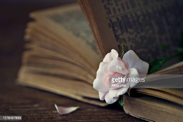 maurazamir's tweet photo. La poesia è il salvagente
Cui mi aggrappo
Quando tutto sembra svanire
Quando il mio cuore gronda
Per lo strazio delle parole che feriscono..Quando sono diventato così impenetrabile,che neanche l'aria riesce a passare
Khalil Gibran
#NotePoetiche #CasaLettori
@Maria_AnnaPatti https://t.co/cxnxlflOEf