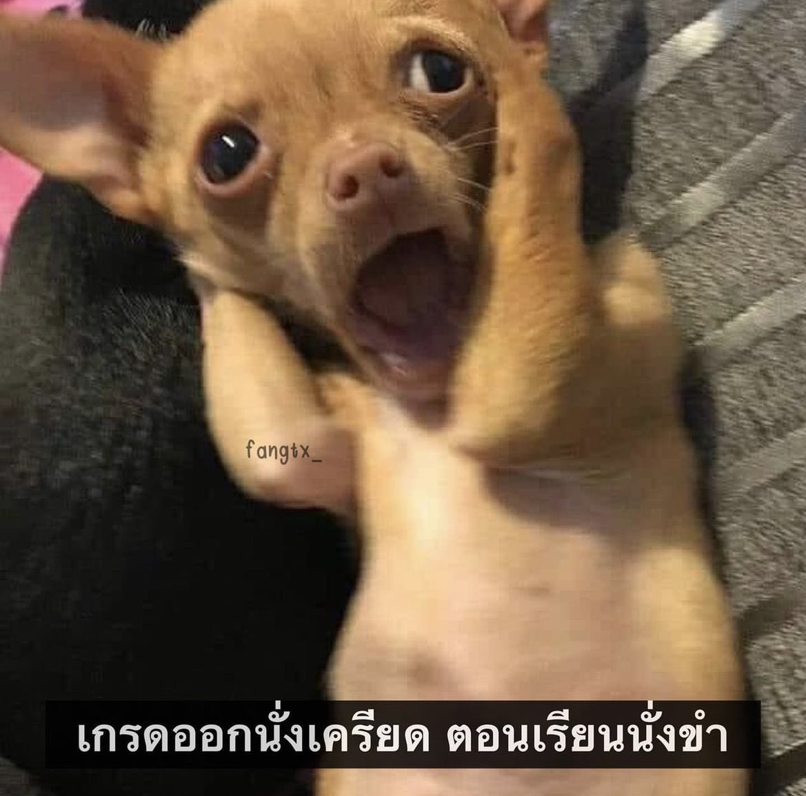 ช่างแม่ง🐰🏳️🌈 tweet media