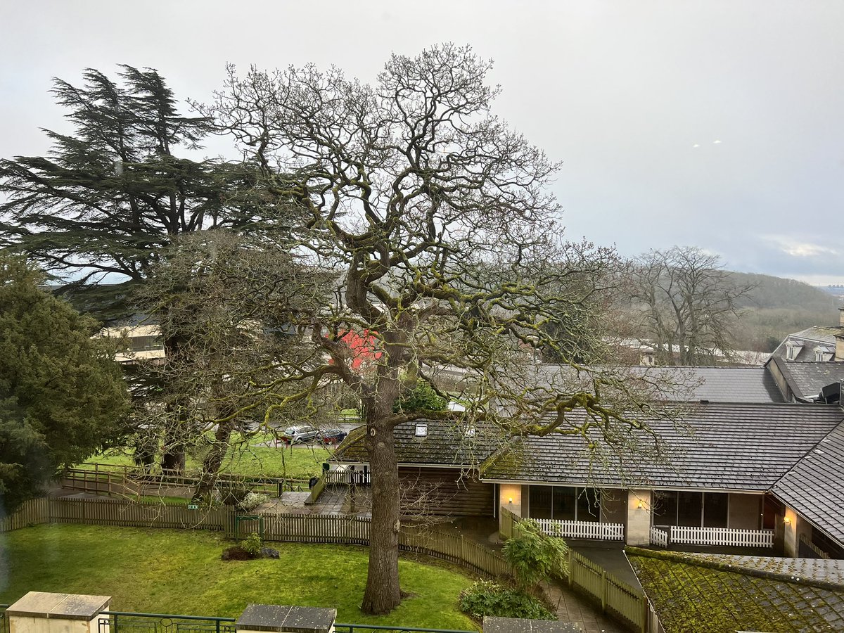 SQLBalls's tweet image. Good morning Wales 🏴 & @SQLBits !! 
I always love that SQLBits has a free community day, talk about being born of and showing ❤️ to the #AzureDataCommunity 
Here’s to a great last day!