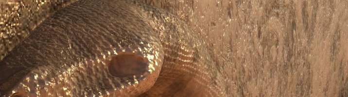 EvigiloEnt's tweet photo. What does this look like? https://t.co/N19ofxwrti