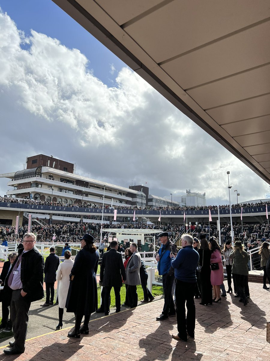 Matthew Lightstone tweet media