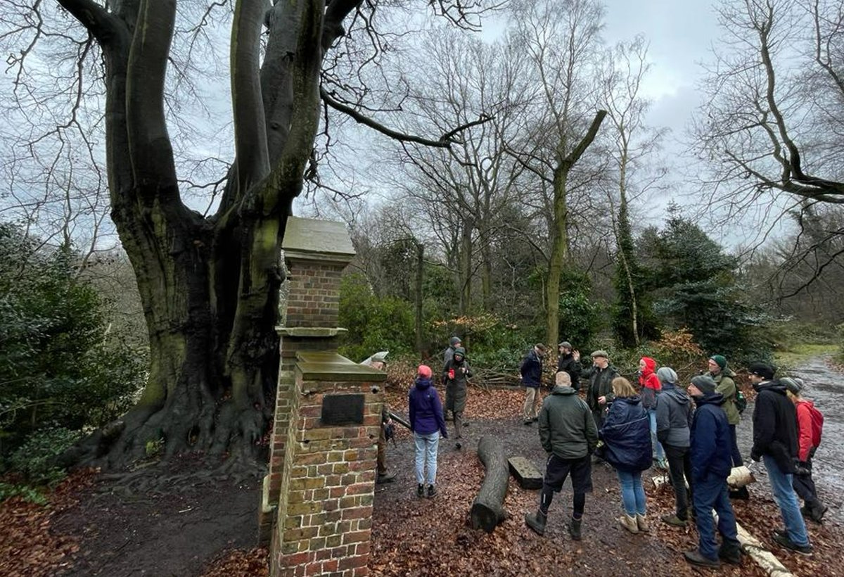 tree_myco_man's tweet photo. Good day yesterday hosting a tour of some of North London's oldest trees with tree and fungi friends from the Polish Tree Institute  and the Woodland Trust. Great conversations around how we manage these trees and lessons learnt. @CityCorpHeath @InstytutDrzewa @WoodlandTrust https://t.co/dH88MmI4Kq