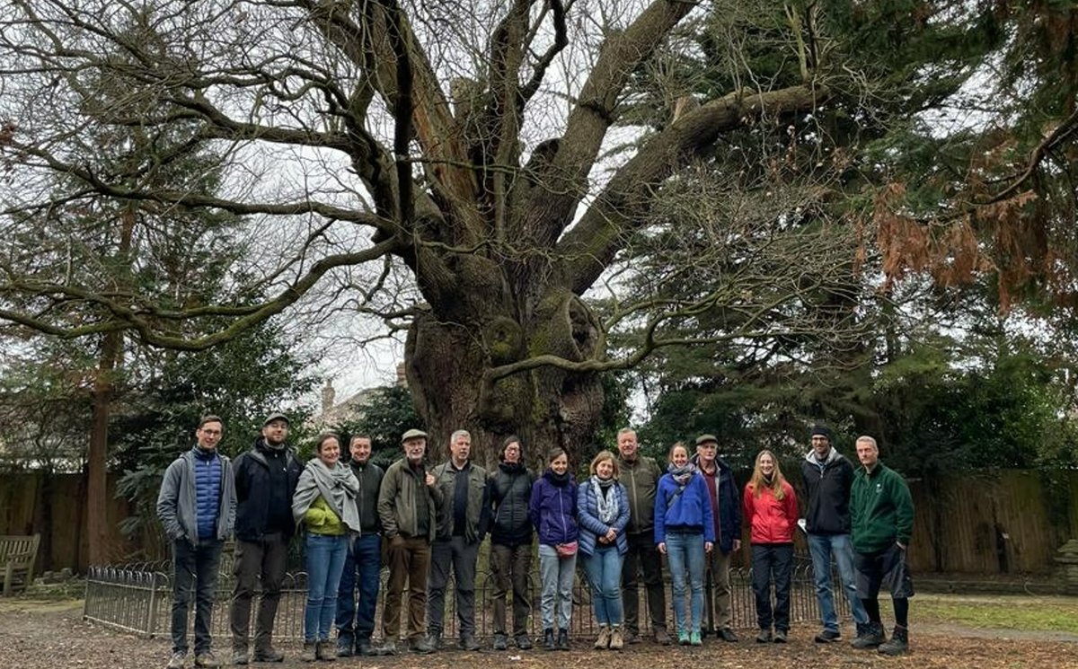 tree_myco_man's tweet photo. Good day yesterday hosting a tour of some of North London's oldest trees with tree and fungi friends from the Polish Tree Institute  and the Woodland Trust. Great conversations around how we manage these trees and lessons learnt. @CityCorpHeath @InstytutDrzewa @WoodlandTrust https://t.co/dH88MmI4Kq