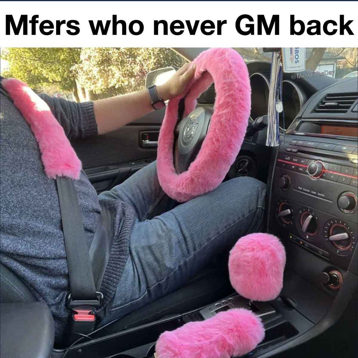 GM Mfers 🫡