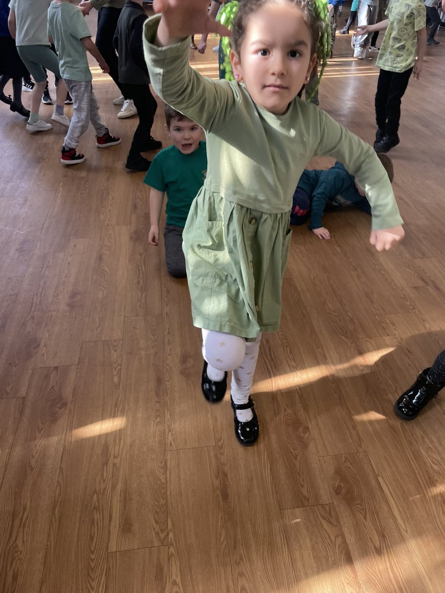 Y1 HighStPrimary tweet media