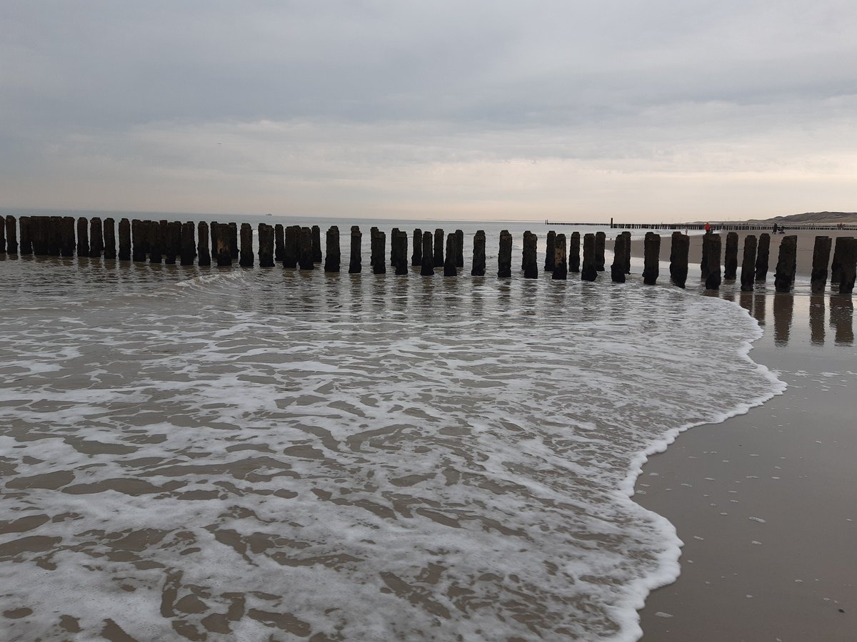Schrijfs_Els's tweet photo. zo in de verandering van het seizoen
waai ik hier met met alle winden mee
op het strand, aan die eindeloze kust
al wat ik daar zelf mee hoef te doen
is een dagelijkse portie vitamine zee
en laad mij verder... laad mij met rust!

#Domburg 17 maart 2023
@dezeekust @versvandezee https://t.co/tzYekJw5Uv