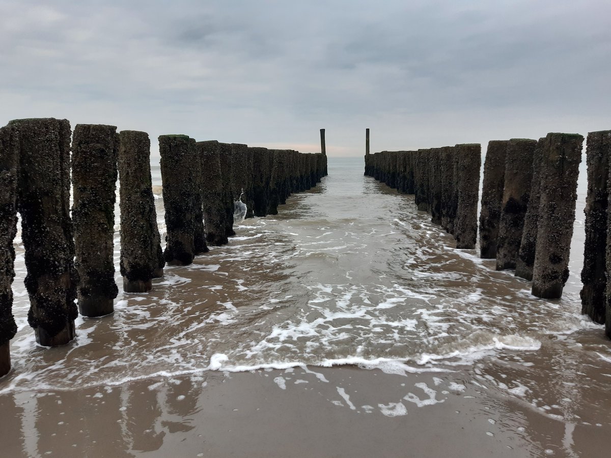 Schrijfs_Els's tweet photo. zo in de verandering van het seizoen
waai ik hier met met alle winden mee
op het strand, aan die eindeloze kust
al wat ik daar zelf mee hoef te doen
is een dagelijkse portie vitamine zee
en laad mij verder... laad mij met rust!

#Domburg 17 maart 2023
@dezeekust @versvandezee https://t.co/tzYekJw5Uv
