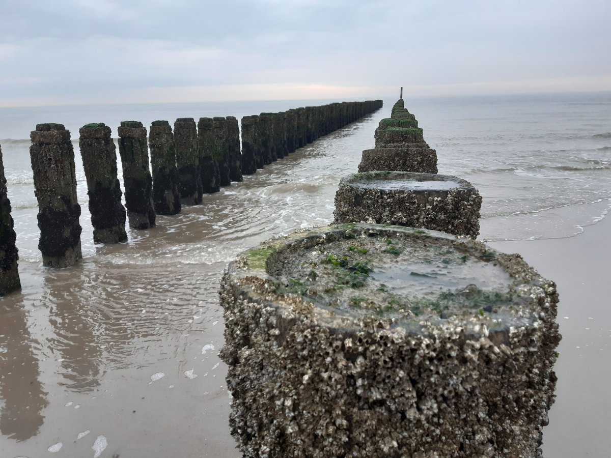 zo in de verandering van het seizoen
waai ik hier met met alle winden mee
op het strand, aan die eindeloze kust
al wat ik daar zelf mee hoef te doen
is een dagelijkse portie vitamine zee
en laad mij verder... laad mij met rust!

#Domburg 17 maart 2023
<a href="/dezeekust/">De Zee Kust -DZK-</a> <a href="/versvandezee/">Vers van de Zee</a>
