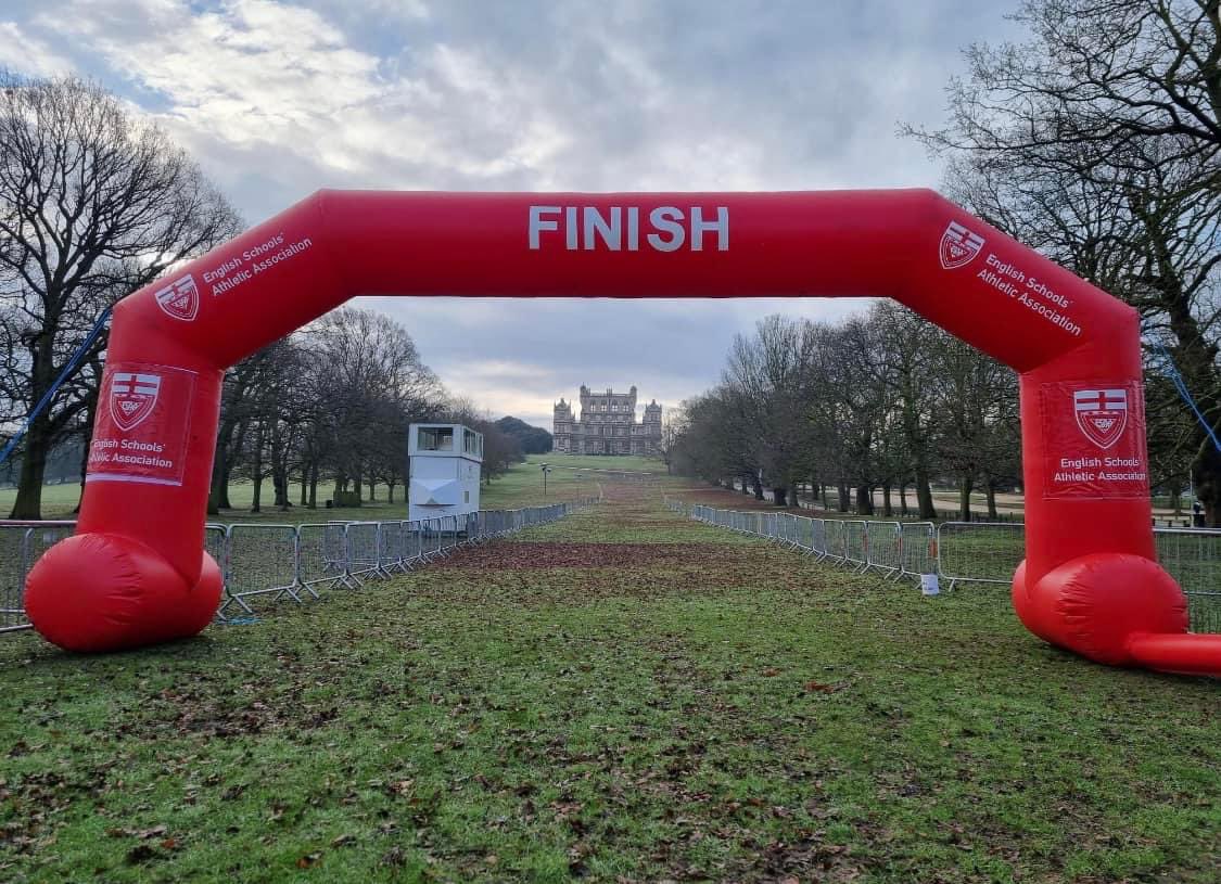 louise collins tweet media