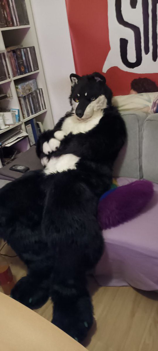 Sazi the Rainbowwolf (@maxstockm) on Twitter photo 