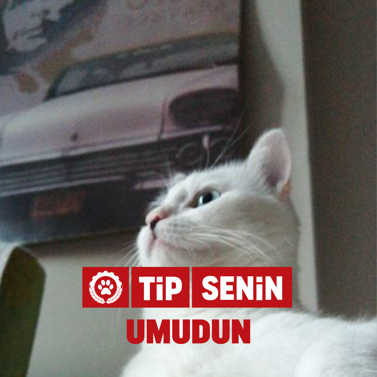 IsciPatisi's tweet photo. #TipSenin umudun! https://t.co/GcdXjka5CQ