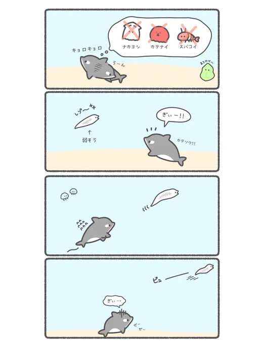 バレンタインのお返しを探してるシャチ 