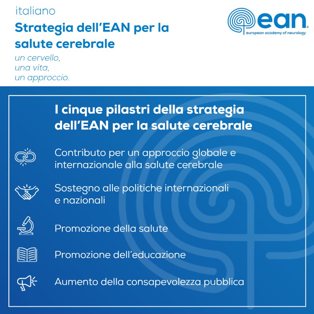 EANeurology's tweet photo. Just a reminder that we have our Brain Health Strategy paper available in several languages in addition to English! Today we are featuring #italiano #Português #Русский язык and #Türkçe!
👉https://t.co/4fW1rJntFk
#BrainAwarenessWeek #BAW2023 #BrainAwarenessWeek2023 #BrianHealth https://t.co/XRMLJLc9BH