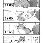 ぐっすり眠っていたのに、もう少しでご飯の時間というタイミングで･･･!可愛すぎる「猫漫画」が話題に!