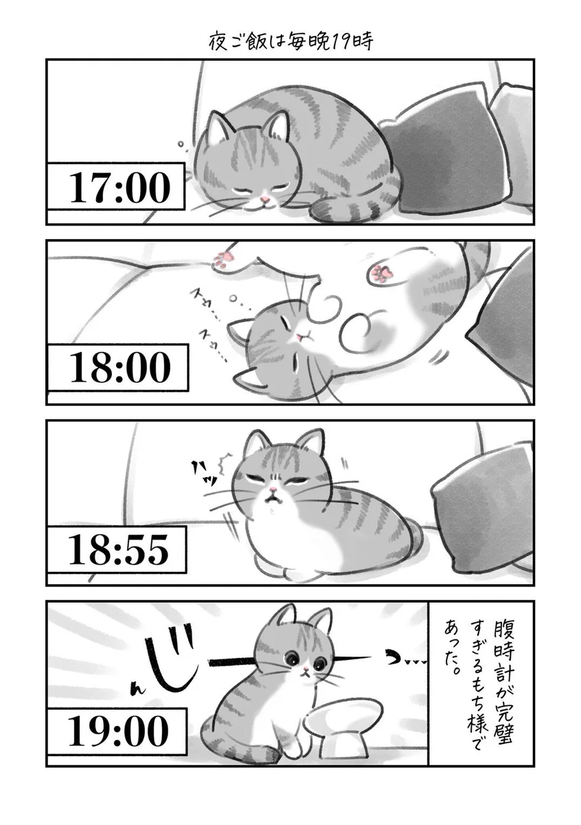 ぐっすり眠っていたのに、もう少しでご飯の時間というタイミングで･･･！可愛すぎる「猫漫画」が話題に！