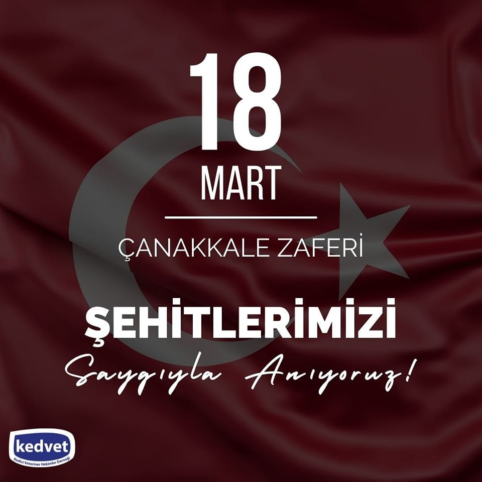 Bu destansı zaferin temelinde güçlü bir inanç, büyük bir vatan aşkı ve özgürlük tutkusu vardır. Çanakkale şehitlerimizi minnetle anıyoruz.