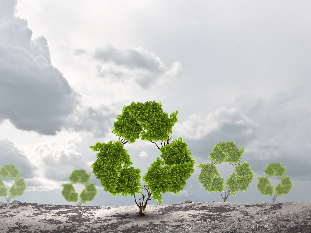 Castell Wealth Management tweet media