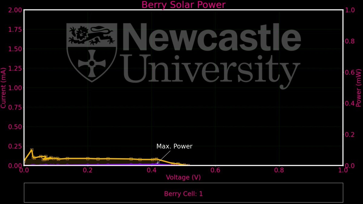 Berry Solar Cells for Berry Future tweet media