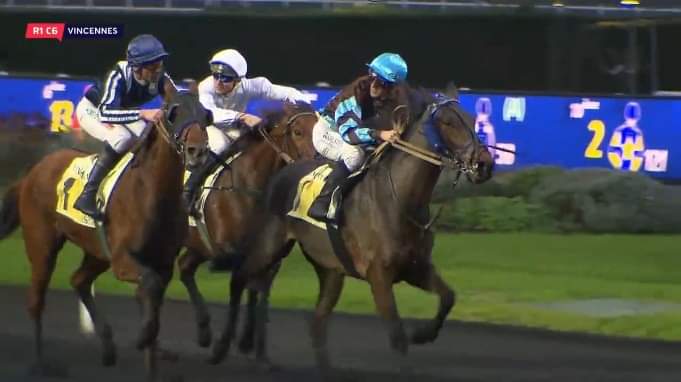 EAurmath's tweet image. Fin de carrière pour GET LOVELY DELO 
m.facebook.com/story.php?stor…
#getlovelydelo
#letrot 
#coursedechevaux