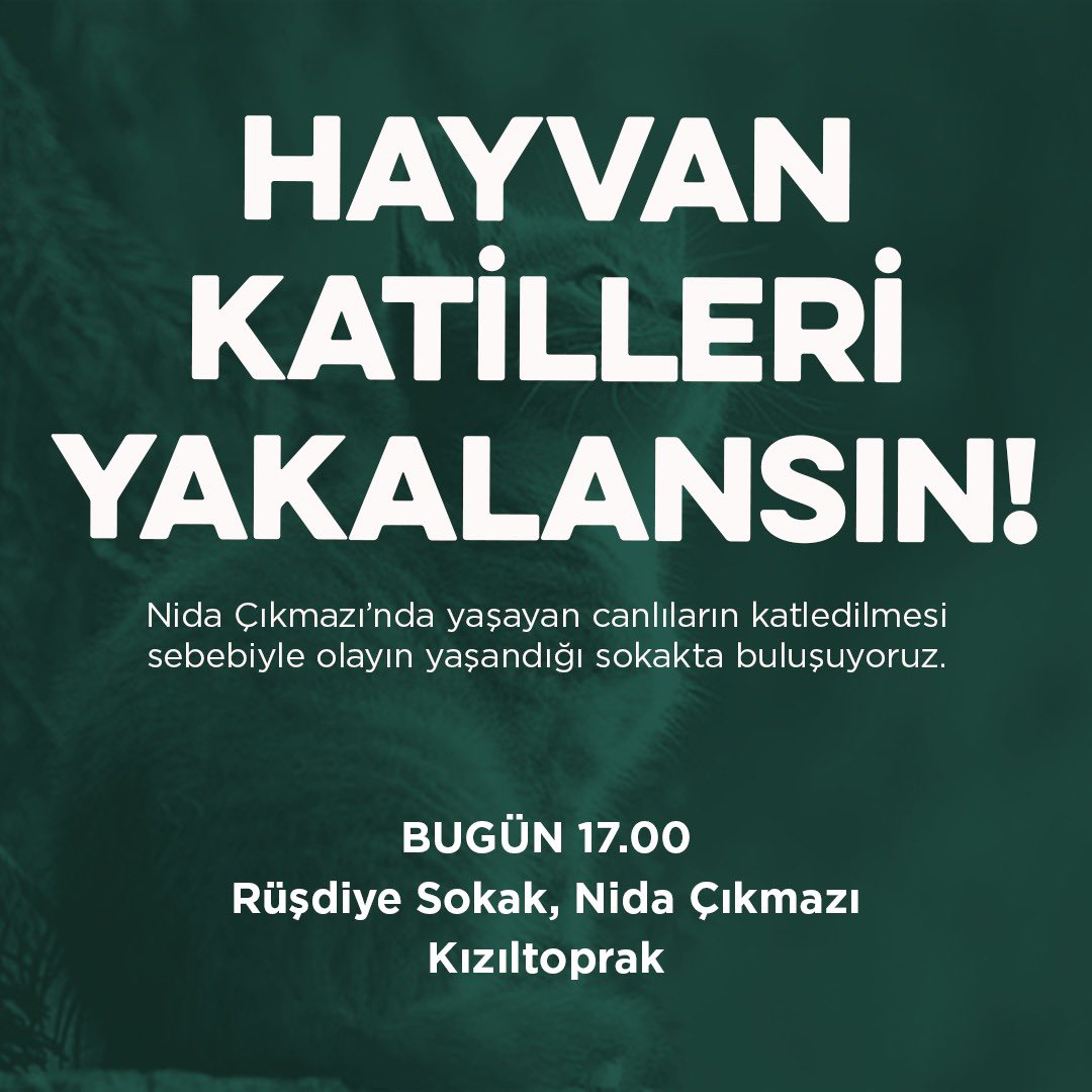 TipIstanbul's tweet photo. Kadıköy'de yaşanan hayvan katliamını protesto etmek için buluşuyoruz.

Hayvan katilleri yakalansın!

📍 Nida Çıkmazı, Kızıltoprak
🗓 Bugün
🕖 17.00 https://t.co/8wFb5vUXjV