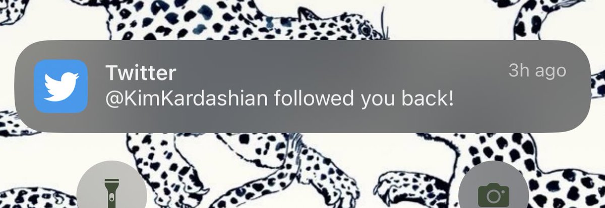 bound2kimk's tweet image. THE KIM KARDASHIAN FOLLOWS ME !!!!! SUCH AN UNREAL FEELING