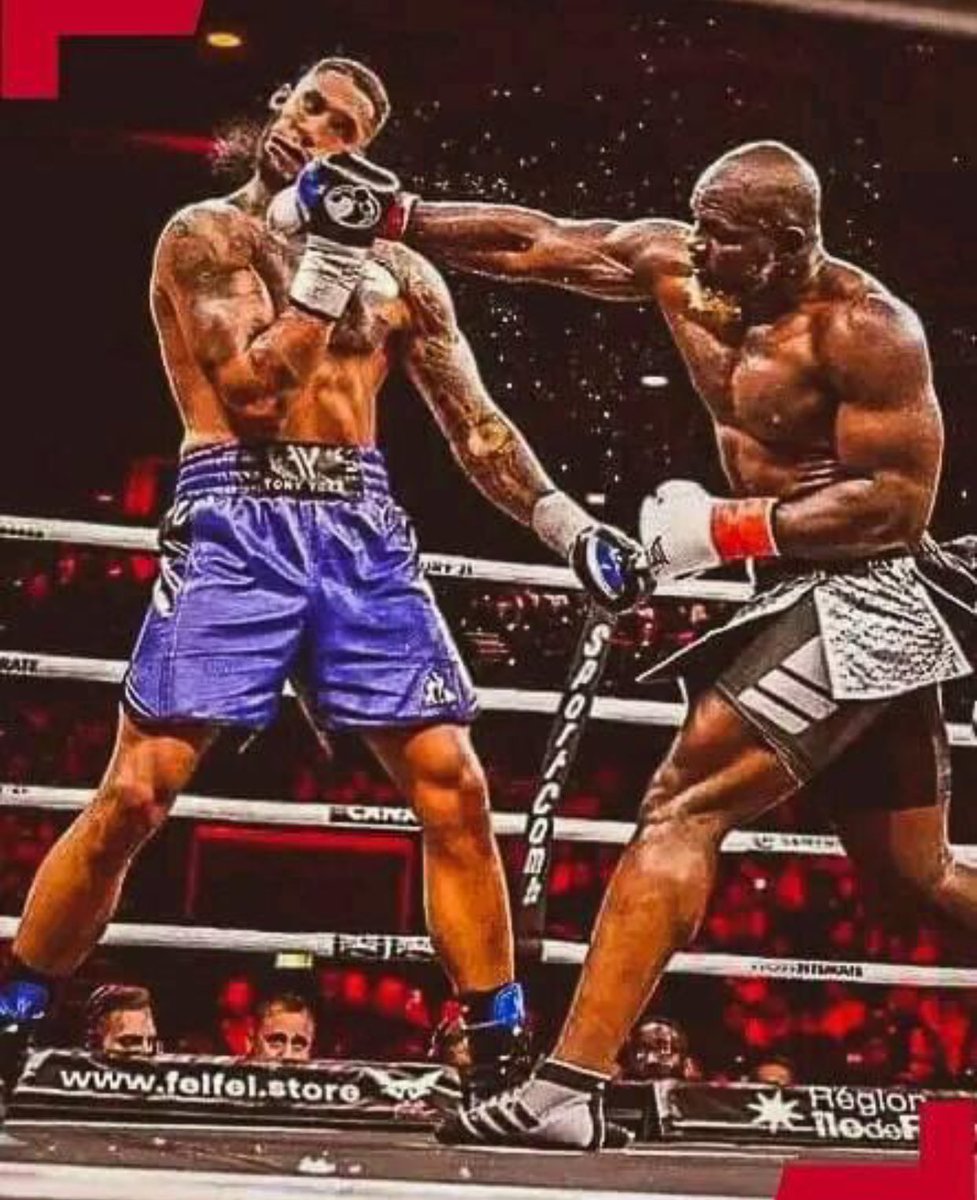 lyon243_06's tweet photo. J’ai crus voir Georges le petit singe, hum la boxe!!😑 https://t.co/lk66mae6HQ