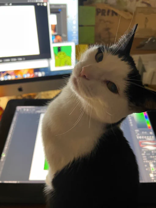 every night she does this 