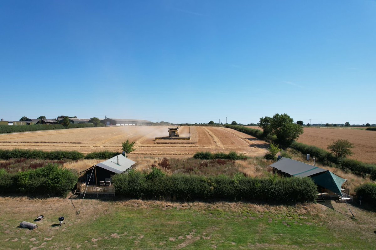 Will Oliver tweet media