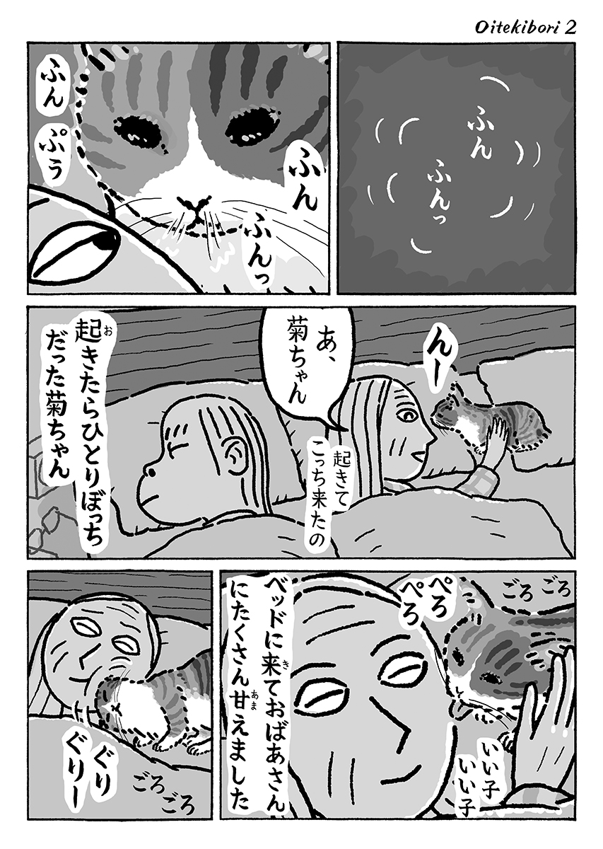 2ページ猫漫画「おいてきぼりの菊ちゃん」 