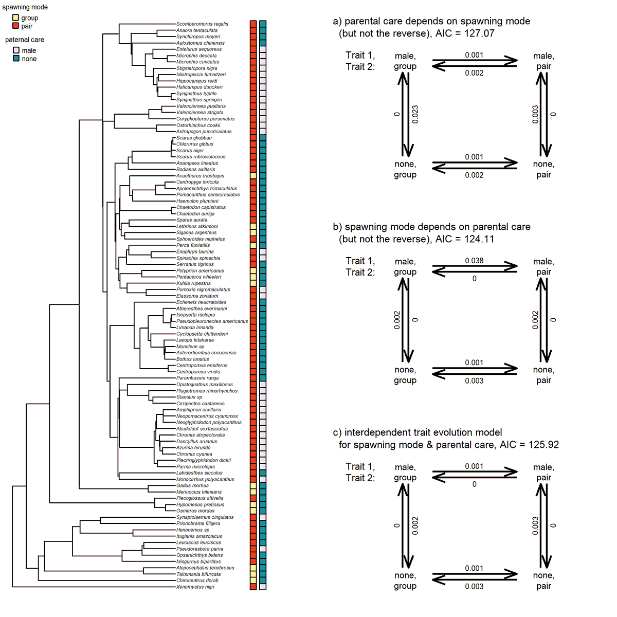 Liam Revell (@phytools_liam) on Twitter photo Update on user request to #Rstats #phytools fitPagel correlational binary trait evolution model to permit custom multi-panel figures 👉 blog.phytools.org/2023/03/update…. <a href="/MasahitoTsuboi/">Masahito Tsuboi</a> Update on user request to #Rstats #phytools fitPagel correlational binary trait evolution model to permit custom multi-panel figures 👉 blog.phytools.org/2023/03/update…. <a href="/MasahitoTsuboi/">Masahito Tsuboi</a>