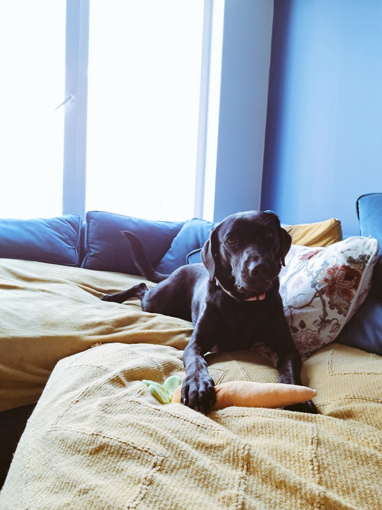 Calum Frame (@calumframe) on Twitter photo 