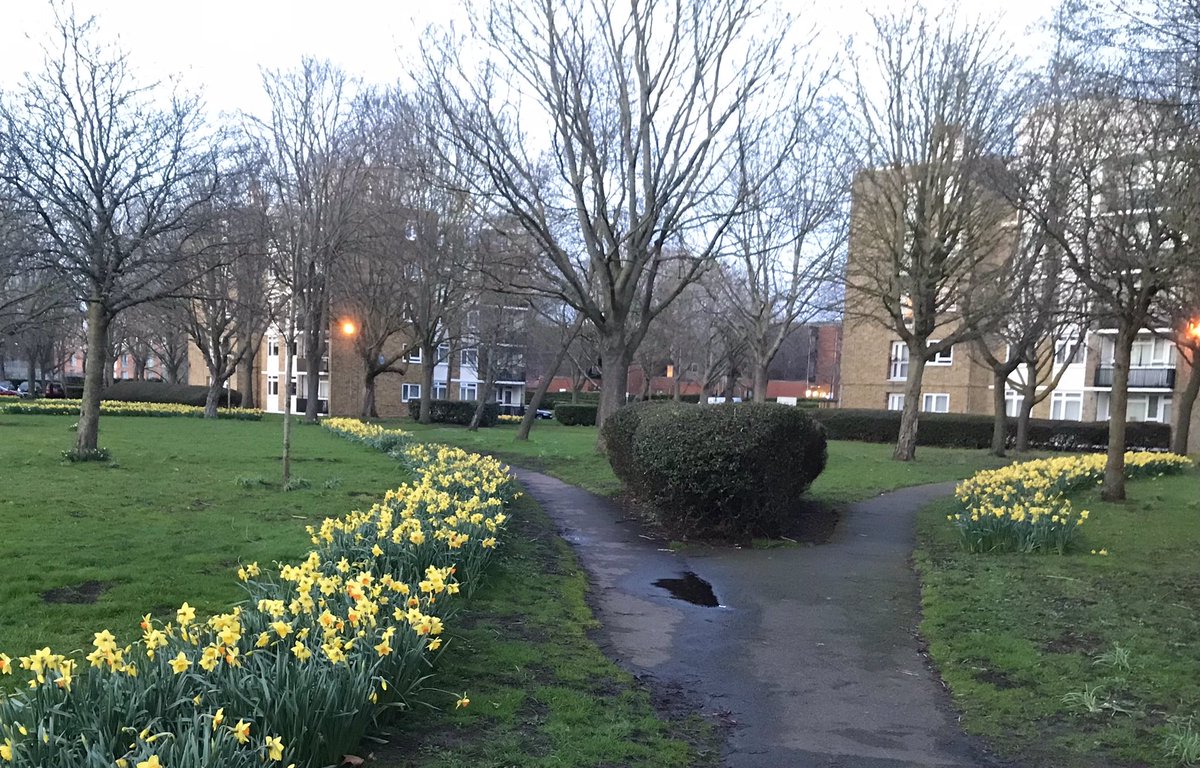 summerstown182's tweet photo. TODAY! Legions of the finest daffodils on #PlanetTooting prepare to salute #TheDaffodilKing! Join us #StreathamCemetery 2pm, for Peter Barr’s #FieldsOfGold Daffodil History Walk inc #FishpondsField #Springfield #MoffatRoad #Aboyne https://t.co/Gq1412PUMB https://t.co/aoOP9dnI8p