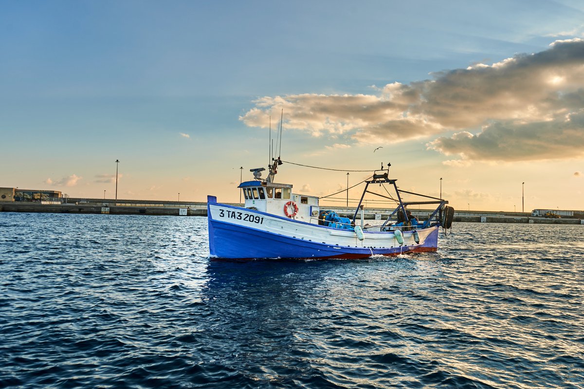 UN_FAO_GFCM's tweet photo. 📢The #GFCM launched this week a long-term initiative to work towards #decarbonization of the #fishing #fleet in the #Mediterranean and #BlackSea. 

Read our full story here⬇️
https://t.co/lJCoCAQZlA https://t.co/zdQea6TtUG