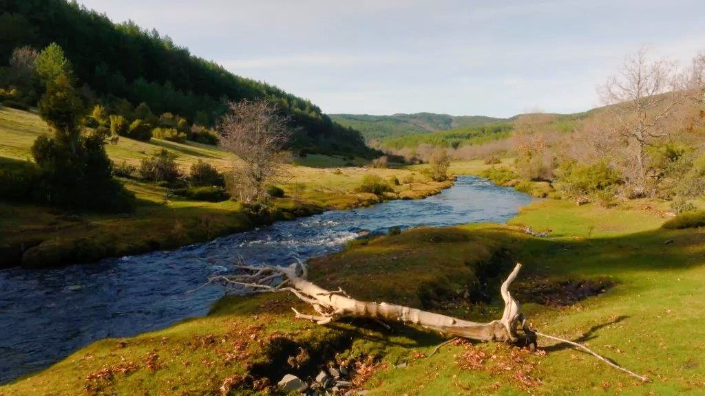 el_bosques's tweet image. Es #actriz, #empresaria, y una #mujer encantadora. Nos acompaña #mañana por los prados del rio Lillas. 19:30 h.en @la2_tve @aizpea @lacronicaverde @rtve #elseñordelosbosques #felizfinde #dia #Sabado #Domingo #calor #Viento #tele #Audiencia #clásico