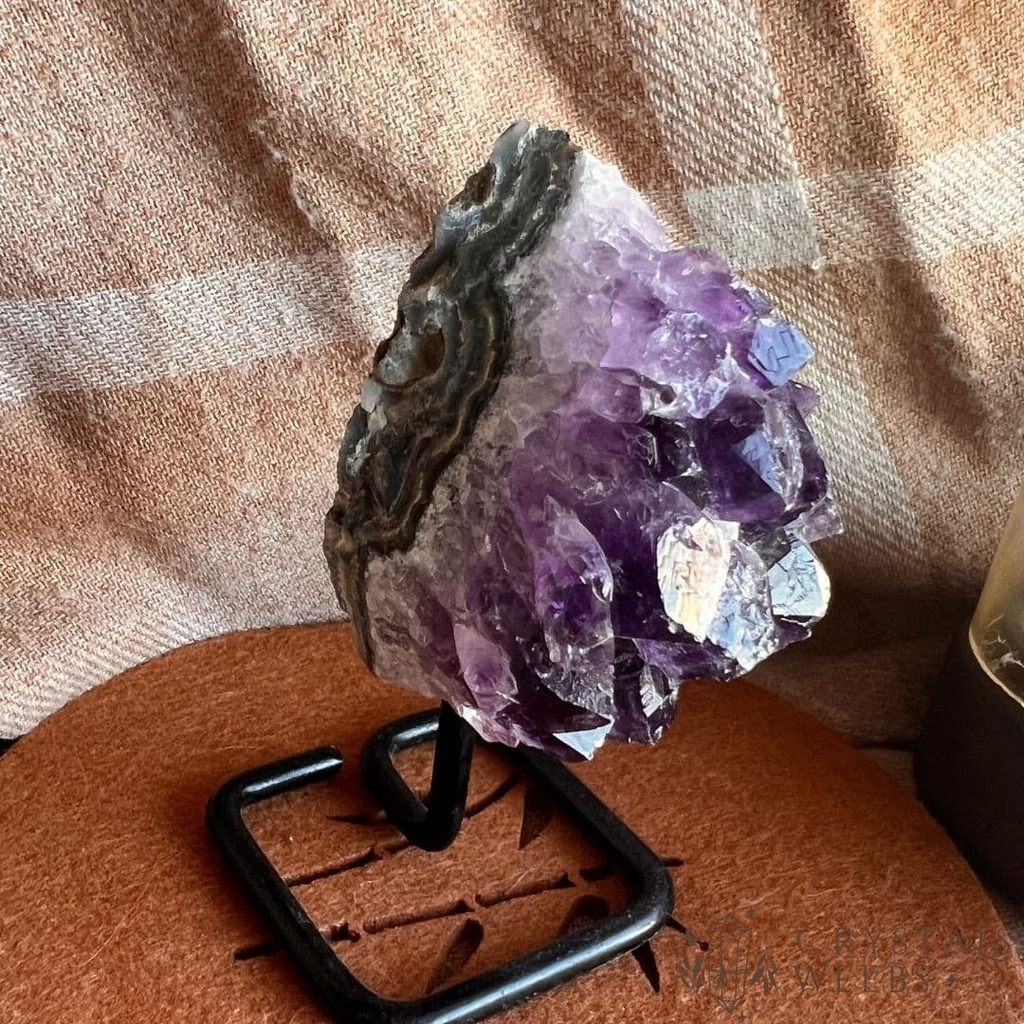 crystalsweebs's tweet photo. 💖 Découvrez nos clusters d'améthyste du Brésil sur pied 💖

L'améthyste a des pouvoirs purifiants et peut aider à élever l'esprit et à renforcer l'intuition. Elle est également considérée comme une pierre de sagesse et de sobriété, et peut-être utilis… https://t.co/PljhrSzPP5 https://t.co/a33pg3ePRh