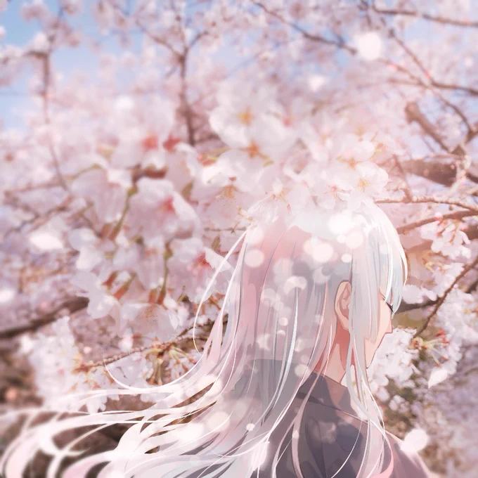 今年も満開が楽しみです #桜刀剣男士 