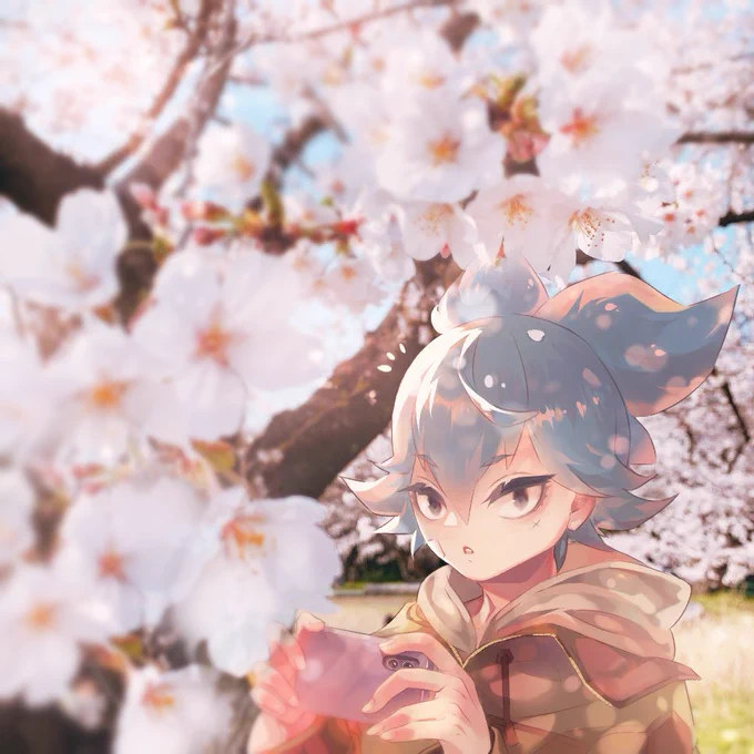 今年も満開が楽しみです #桜刀剣男士 