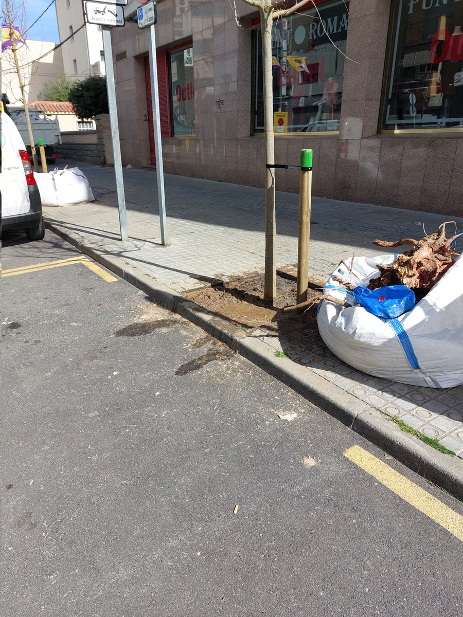 Aura70's tweet photo. Ha quedado bonito el árbol en medio de la plaza de movilidad reducida. Imposible acercar la silla al coche. Por el otro lado calle de doble sentido con coches y buses... https://t.co/Eql6VjLHT6