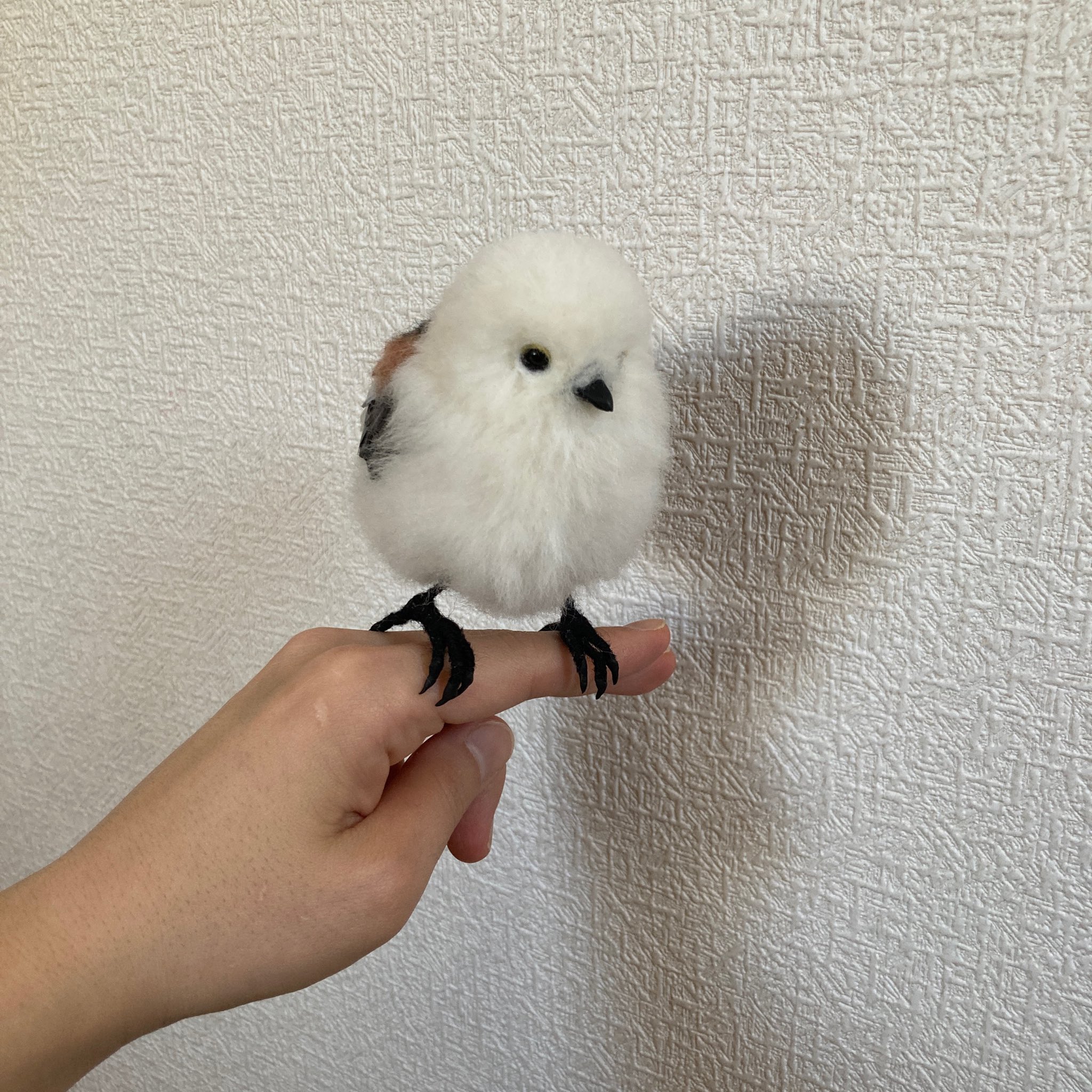 ふわもこ on X: 