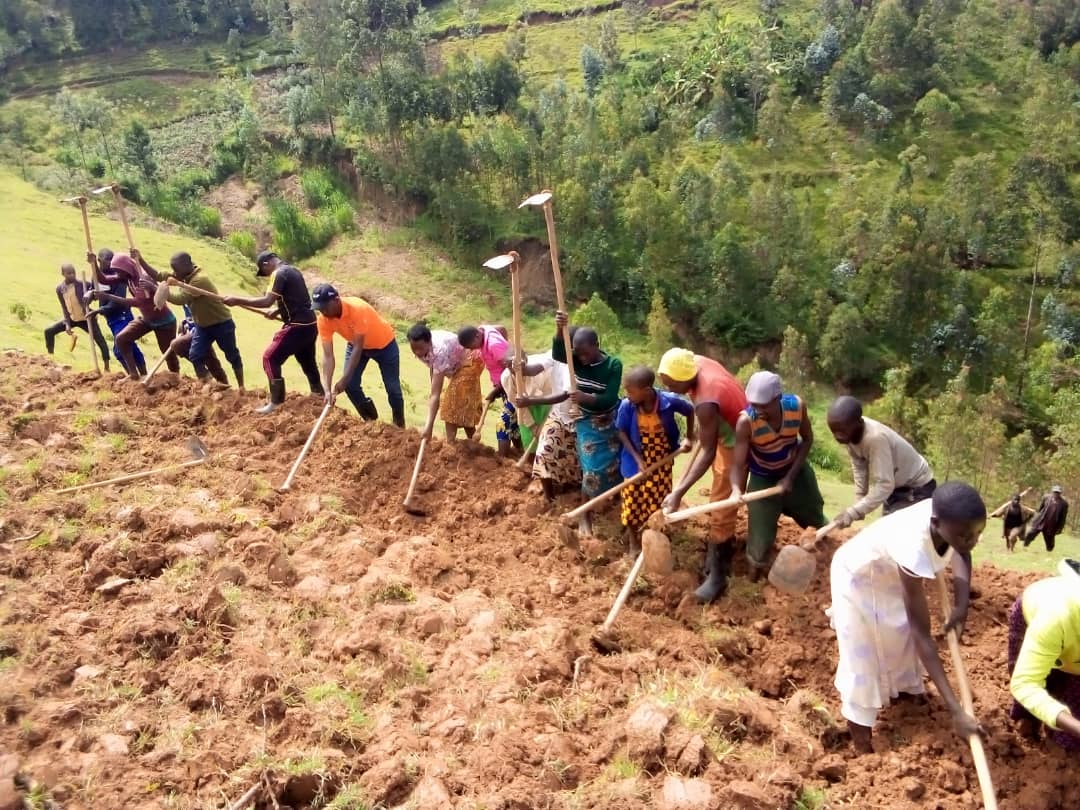 nyc_karongi's tweet photo. Umuganda uri kuba mu mirenge yose igize @KarongiDistr.mu Murenge wa #Mutuntu,
Turigufasha abaturage 2;
💌NYIRANSHYIMYIMANA Perus,
💌MUKANKUBITO Gaudeleva,
barokotse jenoside yakorewe abatutsi mu 1994 batuye mu Kagari ka Gisayura.
💡Turikubahingira,
💡Twunubake uturima tw'igikoni https://t.co/VEuW36Fo4S