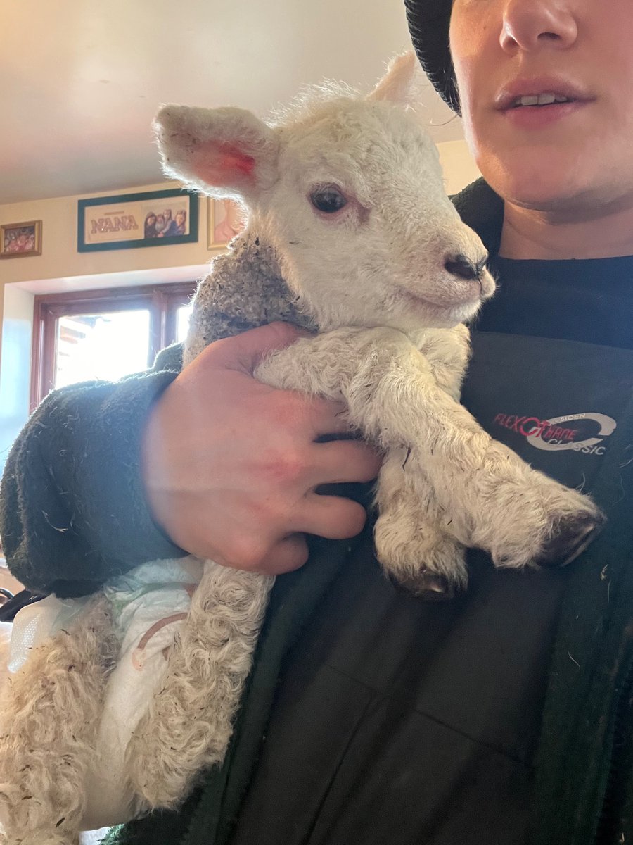 Alix_cu's tweet image. Coffee in company.