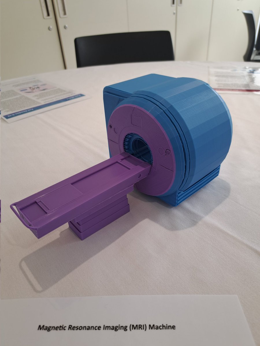 SyanahWynn's tweet photo. MRI and MEG 3D models for #BrainAwarenessWeek displayed at our #UoBBAW event, provided by the grant from @FENSorg and @dana_fdn ! https://t.co/OnHJWqA0DW